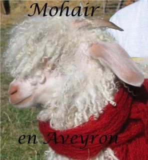 rsz_genevieve_gey_mohair_en_aveyron_logo_noir_mohair_en_aveyron